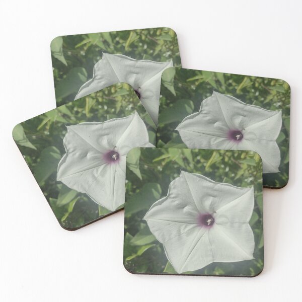 Item preview, Early morning flower designed and sold by MegsMothyCabin.