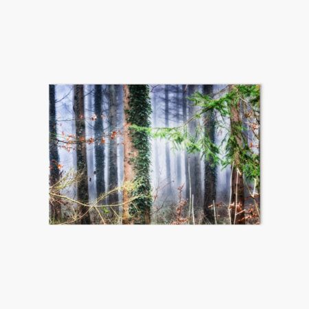 Ivy on the Pine Art Board Print