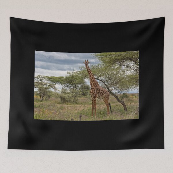 Item preview, Masai Giraffe (Giraffa camelopardalis tippelskirchi) designed and sold by Yair Karelic.