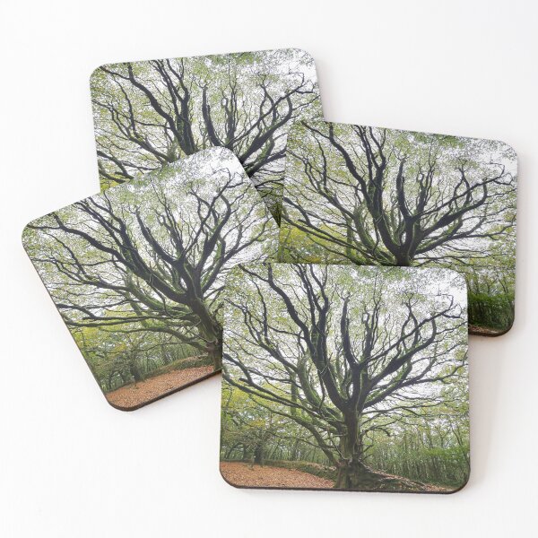 Item preview, Branches Reaching High designed and sold by Kat Simmons.