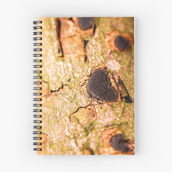Item preview, Wooden Heart on a Tree Trunk designed and sold by FOLK ART FUSION.
