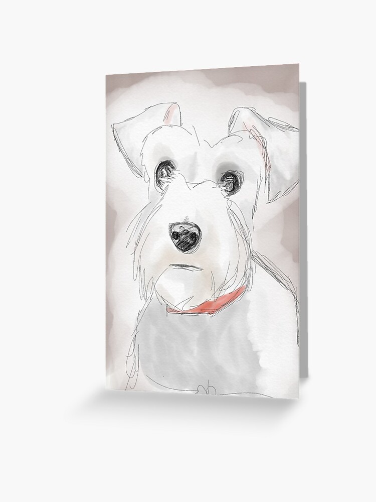 Tarjetas De Felicitacion Schnauzer Blanco Miniatura De Moonchelloveck Redbubble