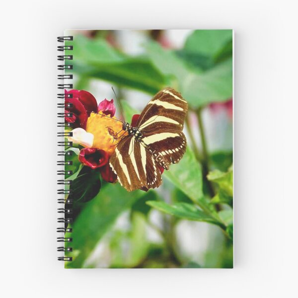 Item preview, Perched designed and sold by Photomainia.