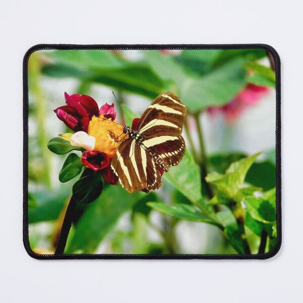 Item preview, Perched designed and sold by Photomainia.