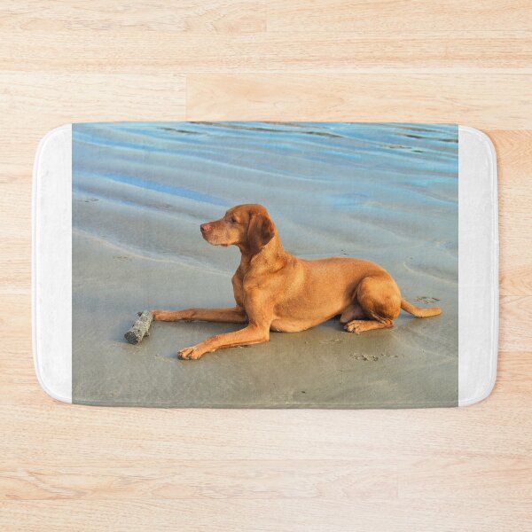 Item preview, Hungarian Vizsla on a Sandy Beach designed and sold by Dorset Girl.
