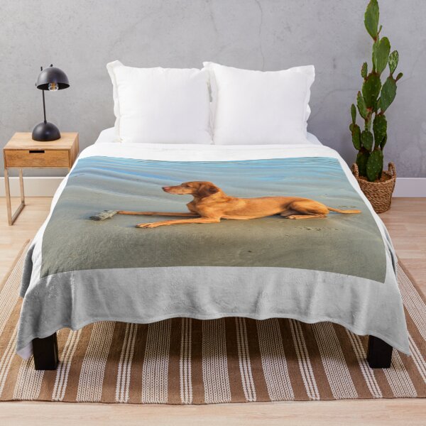 Item preview, Hungarian Vizsla on a Sandy Beach designed and sold by Dorset Girl.