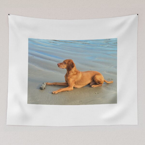 Item preview, Hungarian Vizsla on a Sandy Beach designed and sold by Dorset Girl.