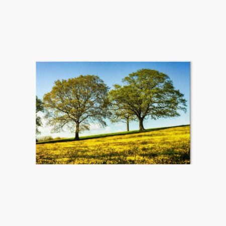 Beautiful Buttercup Meadow Art Board Print