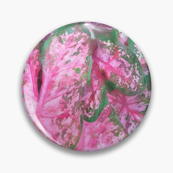 Item preview, Red Caladium Plants Araceae X120 designed and sold by RichFrancoCars.