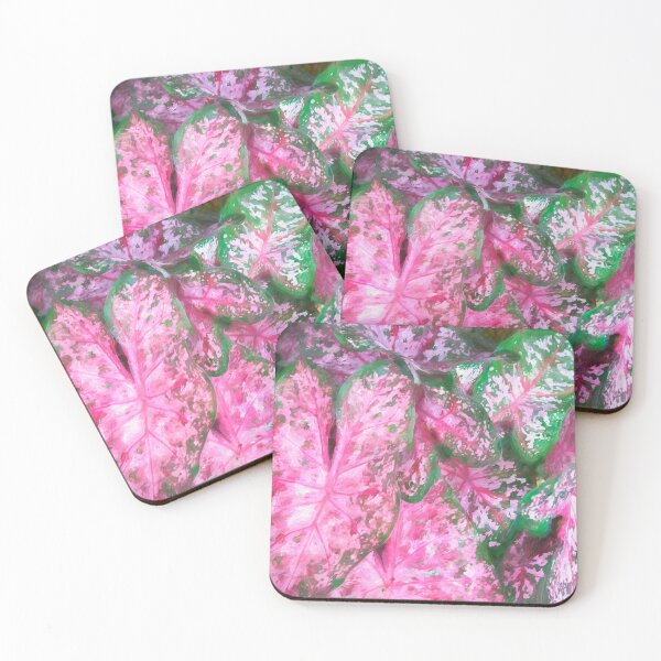 Item preview, Red Caladium Plants Araceae X120 designed and sold by RichFrancoCars.