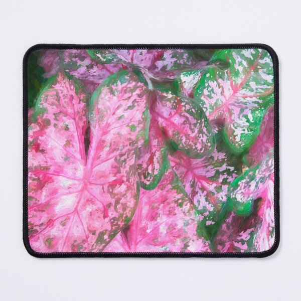 Item preview, Red Caladium Plants Araceae X120 designed and sold by RichFrancoCars.