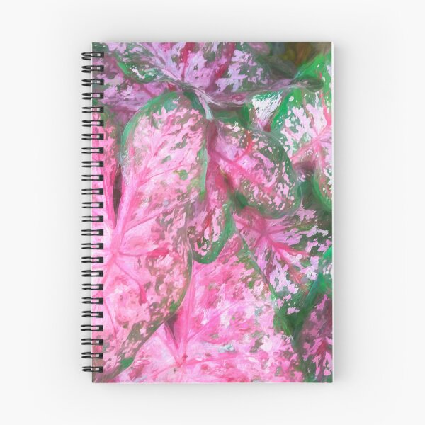 Item preview, Red Caladium Plants Araceae X120 designed and sold by RichFrancoCars.