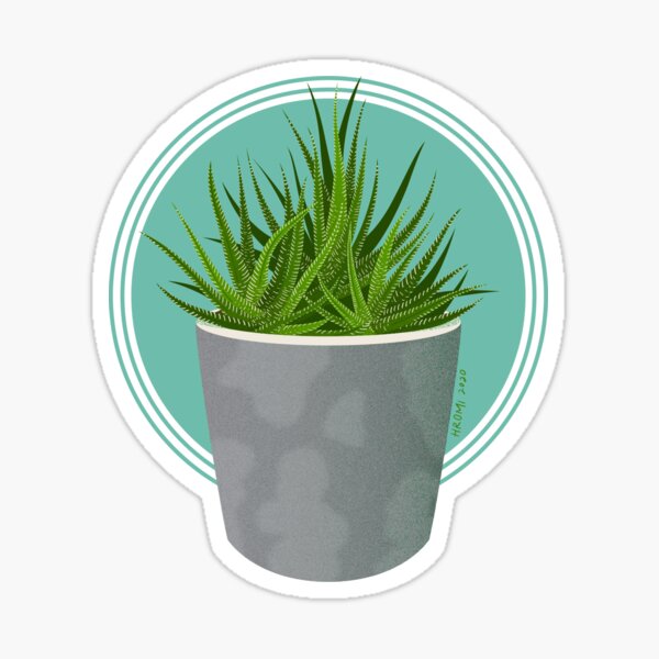 Haworthia Houseplant Illustration Sticker