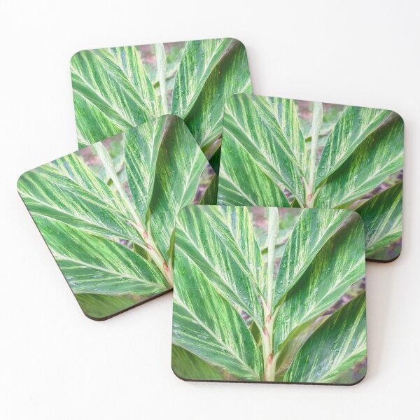 Item preview, Variegated Shell Ginger Abstract X100 designed and sold by RichFrancoCars.