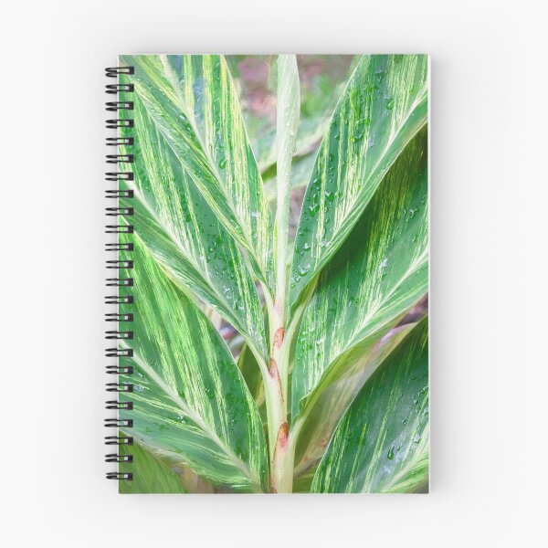 Item preview, Variegated Shell Ginger Abstract X100 designed and sold by RichFrancoCars.