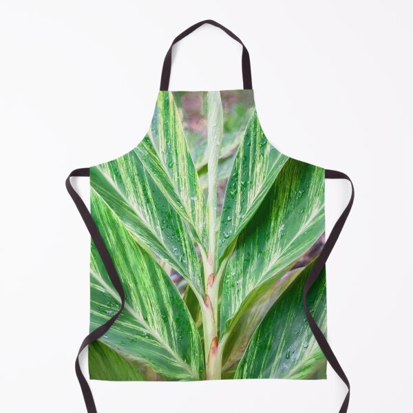 Item preview, Variegated Shell Ginger Abstract X100 designed and sold by RichFrancoCars.