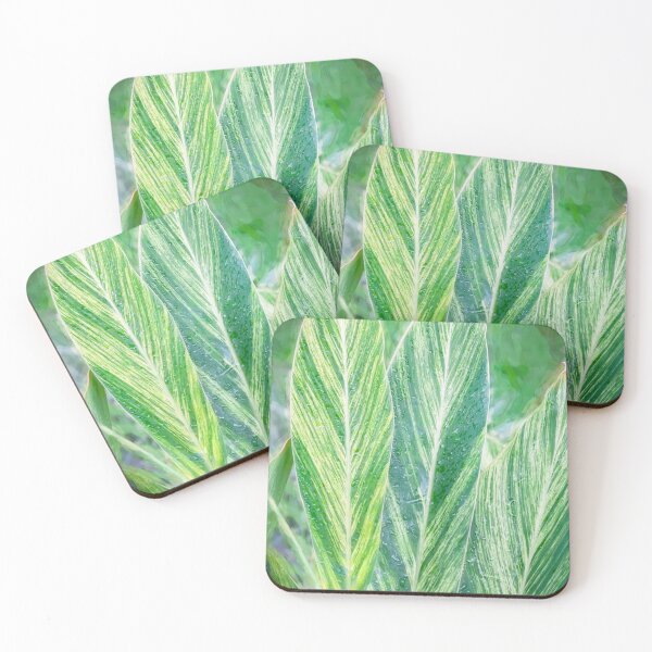 Item preview, Variegated Shell Ginger Abstract X100 designed and sold by RichFrancoCars.