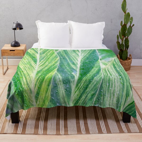 Item preview, Variegated Shell Ginger Abstract X100 designed and sold by RichFrancoCars.