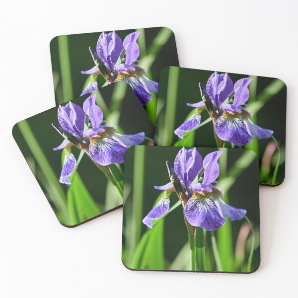 Item preview, In the sun. Siberian iris designed and sold by Jouko Lehto Photography.
