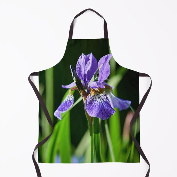Item preview, In the sun. Siberian iris designed and sold by Jouko Lehto Photography.