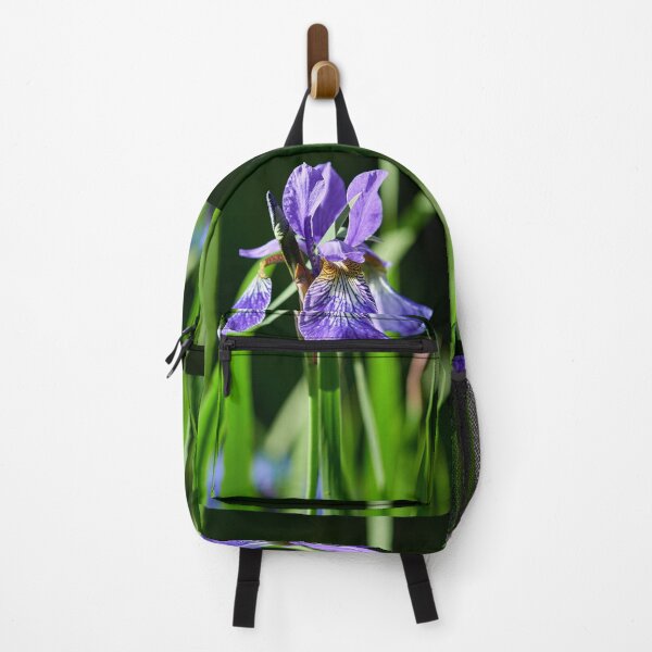 Item preview, In the sun. Siberian iris designed and sold by Jouko Lehto Photography.