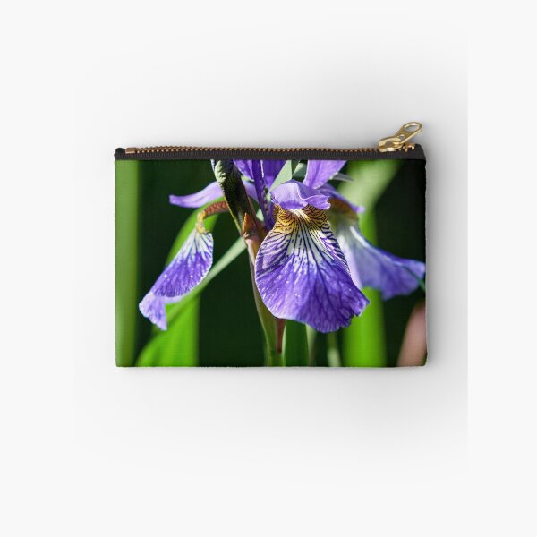 Item preview, In the sun. Siberian iris designed and sold by Jouko Lehto Photography.