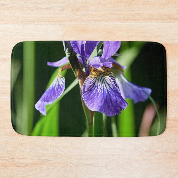 Item preview, In the sun. Siberian iris designed and sold by Jouko Lehto Photography.