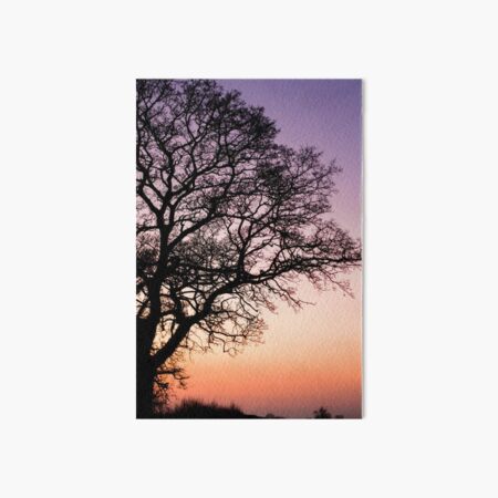 Oak Tree Sunset Art Board Print