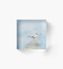 seagul Acrylic Block