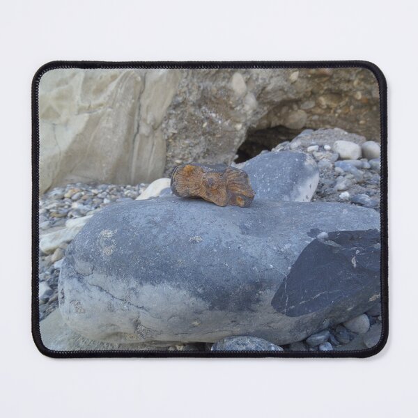 Item preview, Shaligram at the River Cave designed and sold by The Unnecessarium.