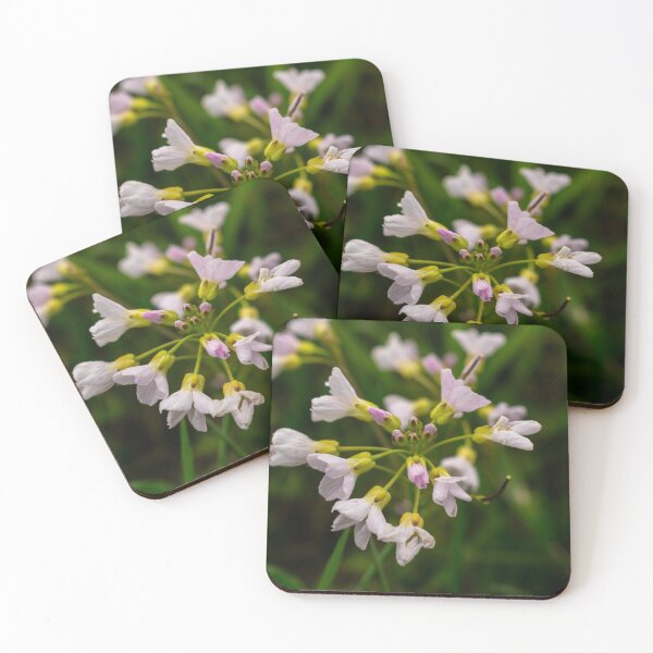 Item preview, Pink flower (Cardamine pratensis) designed and sold by Chiyoko01.