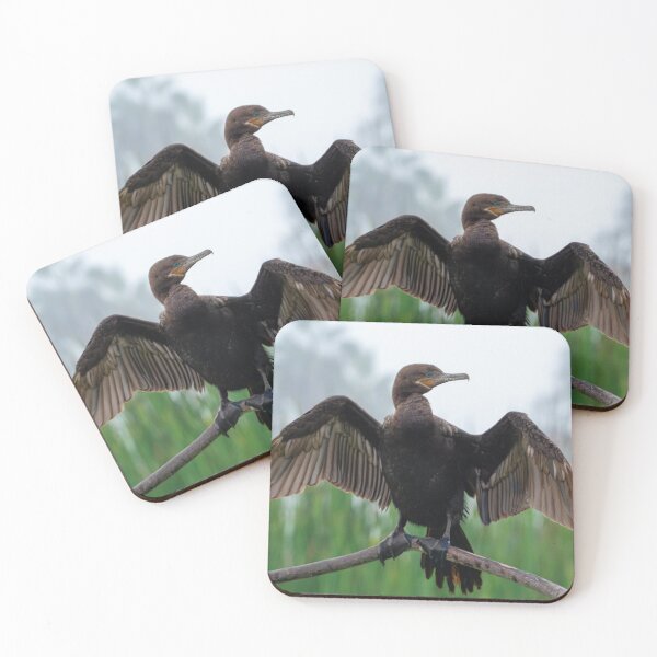 Artikelvorschau, Neotropischer Kormoran - Flügelausdehnung entworfen und verkauft von Ariel-Wildlife.