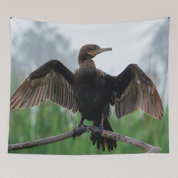 Item preview, Neotropic Cormorant - Wing Stretch  designed and sold by Ariel-Wildlife.