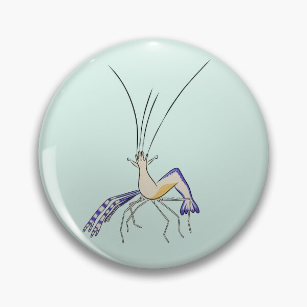 Item preview, Pederson Cleaner shrimp designed and sold by Bridget Vincent.