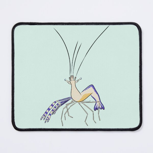 Item preview, Pederson Cleaner shrimp designed and sold by Bridget Vincent.