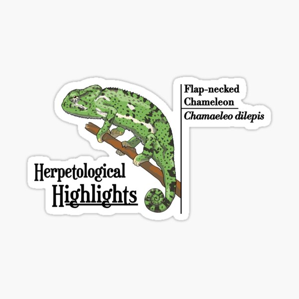 Flap-necked chameleon - Chamaeleo dilepis | Alternative Sticker