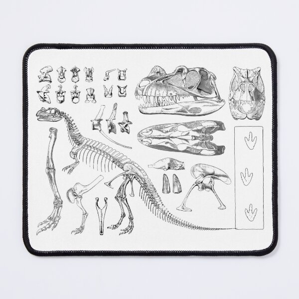 Item preview, Ceratosaurus designed and sold by diologic.