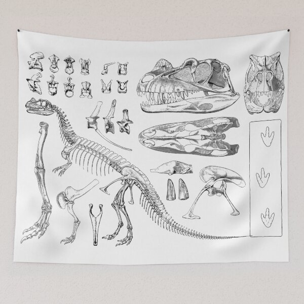 Item preview, Ceratosaurus designed and sold by diologic.