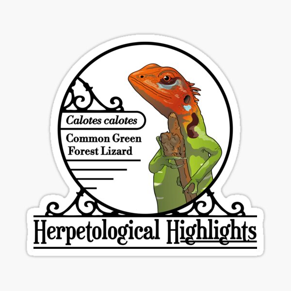 Calotes calotes – Common Green Forest Lizard Sticker