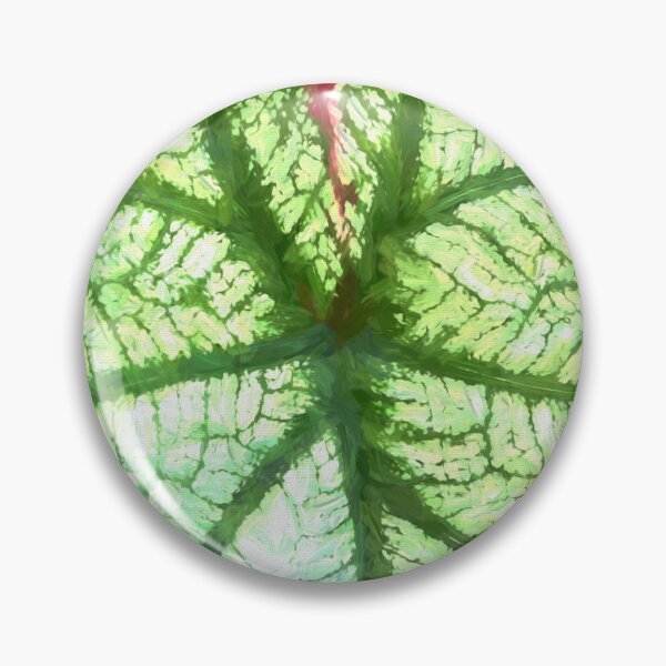 Item preview, White Caladium Plants Araceae Abstract X110 designed and sold by RichFrancoCars.