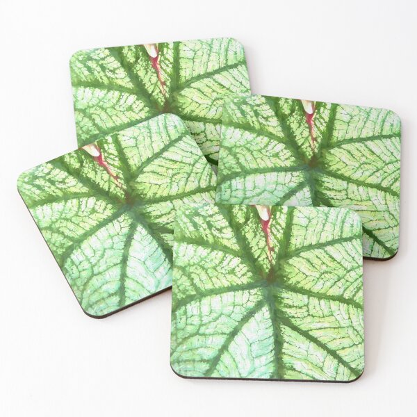 Item preview, White Caladium Plants Araceae Abstract X110 designed and sold by RichFrancoCars.