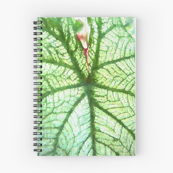 Item preview, White Caladium Plants Araceae Abstract X110 designed and sold by RichFrancoCars.