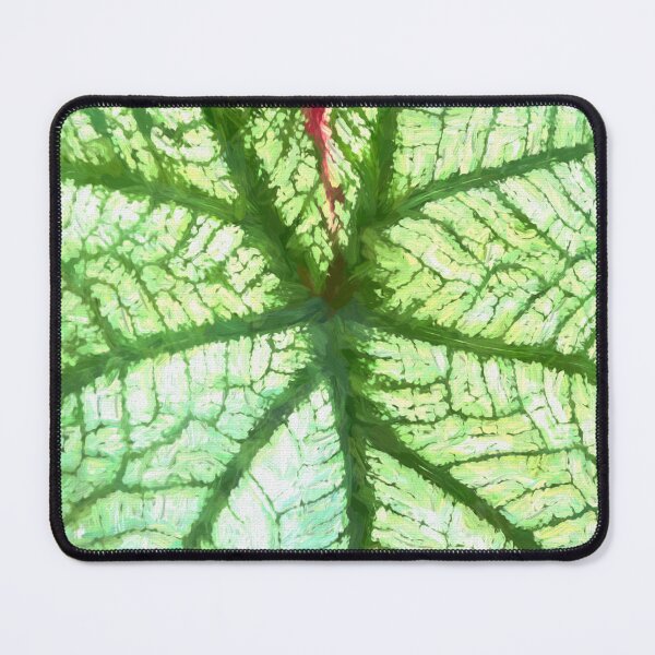 Item preview, White Caladium Plants Araceae Abstract X110 designed and sold by RichFrancoCars.