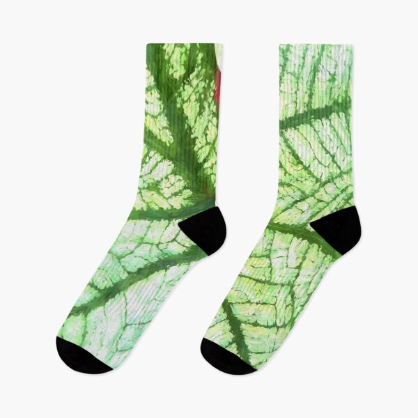 Item preview, White Caladium Plants Araceae Abstract X110 designed and sold by RichFrancoCars.
