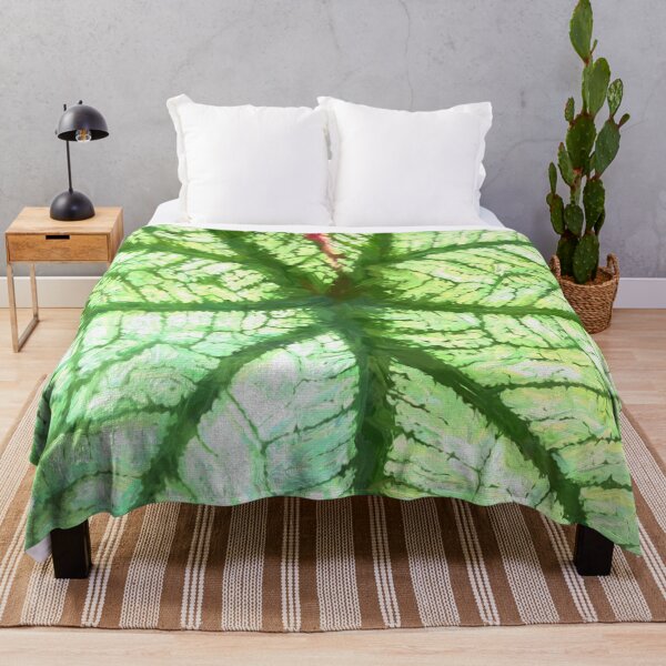 Item preview, White Caladium Plants Araceae Abstract X110 designed and sold by RichFrancoCars.