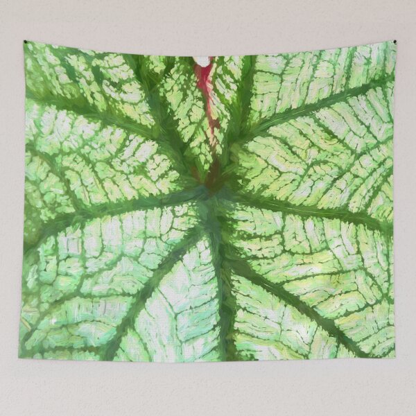 Item preview, White Caladium Plants Araceae Abstract X110 designed and sold by RichFrancoCars.
