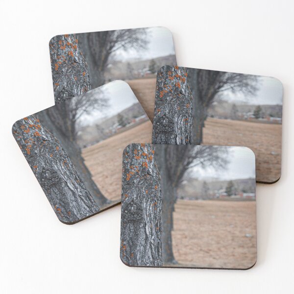 Item preview, Great Wall of Trees designed and sold by Momecap.