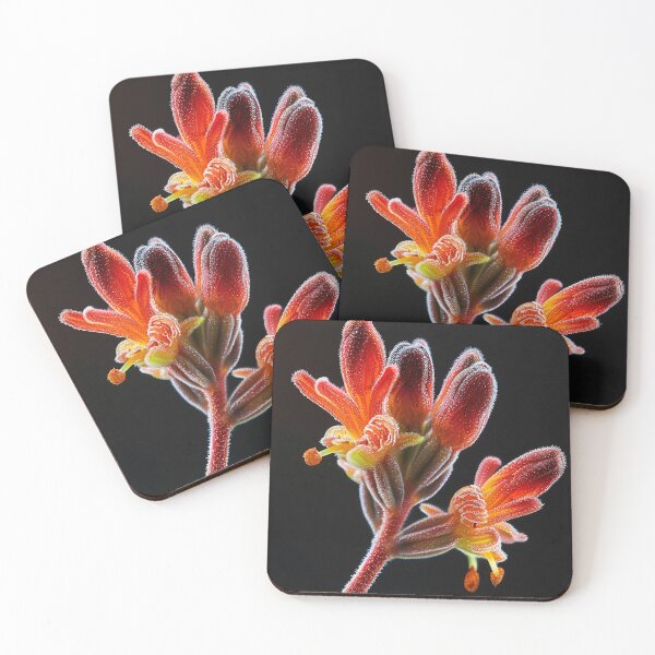 Item preview, Micro Kangaroo Paw designed and sold by Brendon987.