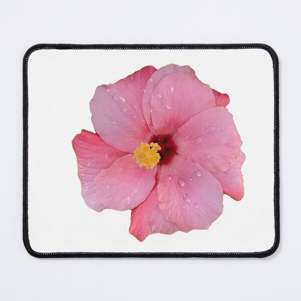 Item preview, Pink soft hibiscus  designed and sold by Kiraguapa.