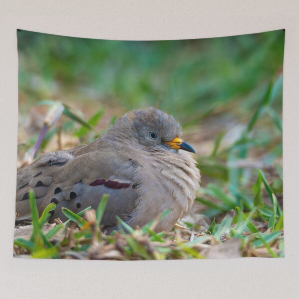 Item preview, Croaking Ground Dove designed and sold by Ariel-Wildlife.